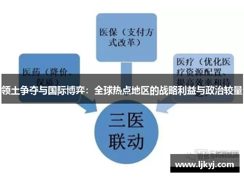 领土争夺与国际博弈：全球热点地区的战略利益与政治较量