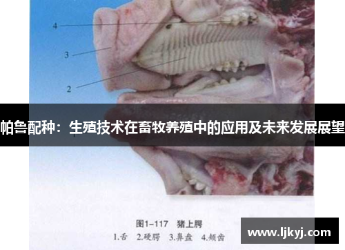 帕鲁配种：生殖技术在畜牧养殖中的应用及未来发展展望